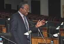 Hon Makongoro Nyerere contributes to the debate on the floor of the House