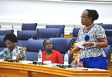 The mover of the Resolution: Hon Judith Pareno on the floor of the House